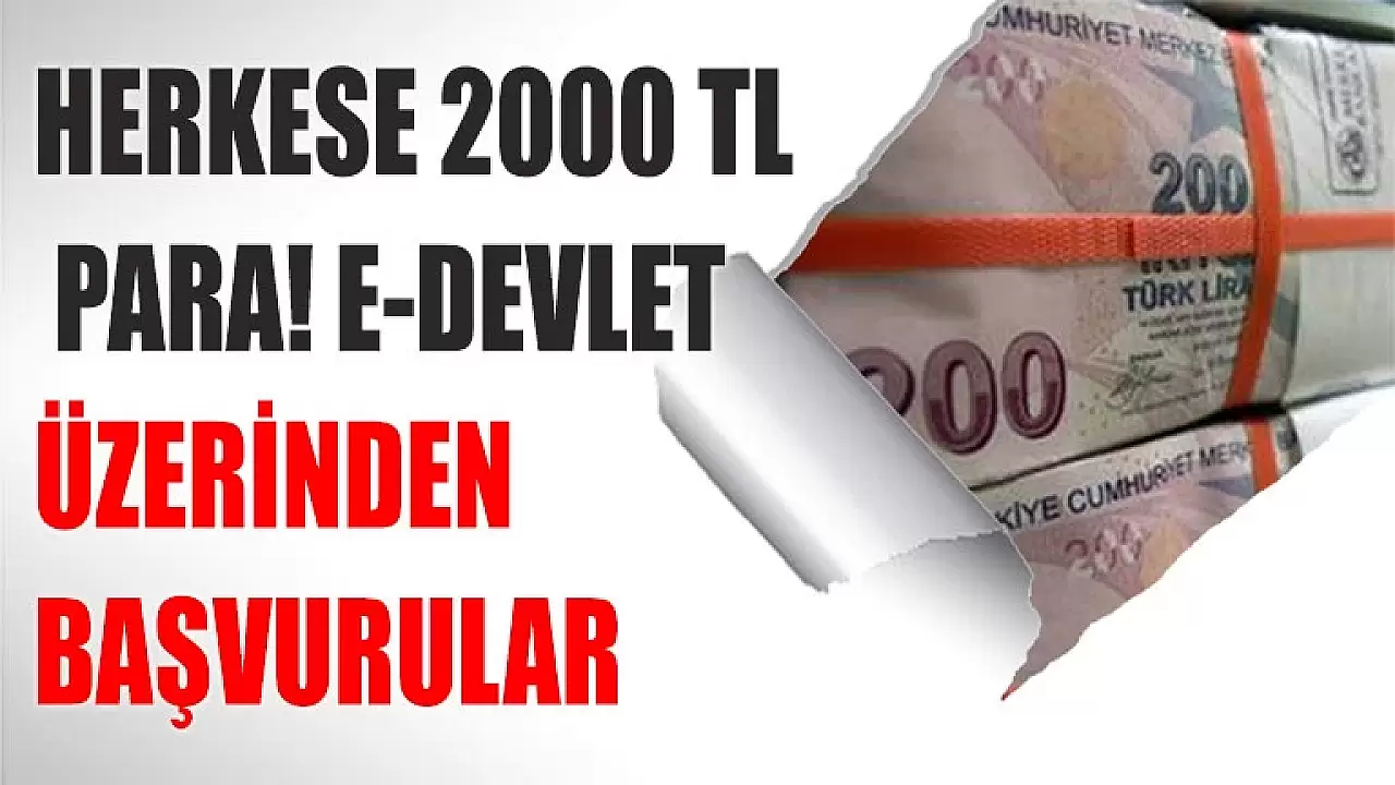 Herkese 2000 TL para! e-Devlet üzerinden Başvurular