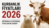 Kurbanlık Fiyatları 2026 Büyükbaş ve Küçükbaş kurban fiyatları belli oldu mu ?