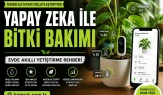 Yapay Zekâ ile Bitki Bakımı Nedir? Nasıl Yapılır Güvenilir mi?