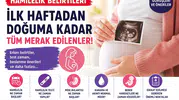 Hamilelik Belirtileri Nelerdir? Gebelikte İlk Belirtiler