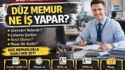 Düz Memur Ne İş Yapar? Görevleri, Şartları ve Çalışma Hayatı
