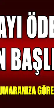 Kasım Ayı Ödemeleri Yarın Başlıyor! Hemen T.C. Kimlik Numaranıza Göre Ödeminizi Öğrenin!