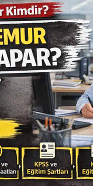 Düz Memur Ne İş Yapar? Görevleri, Şartları ve Çalışma Hayatı