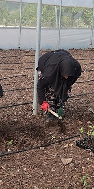 Kocaeli Büyükşehir'den kadın girişimcilere tarımsal destek