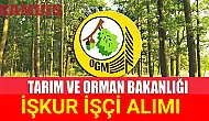Tarım ve Orman Bakanlığı İŞKUR İşçi Alımı Yapacak!