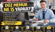 Düz Memur Ne İş Yapar? Görevleri, Şartları ve Çalışma Hayatı