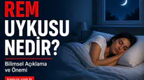 REM Uykusu Nedir? REM Uykusu Kaç Saat Olmalı (Bilimsel Açıklama) REM uykusu
