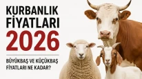 Kurbanlık Fiyatları 2026 Büyükbaş ve Küçükbaş kurban fiyatları belli oldu mu ?