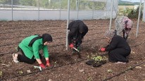 Kocaeli Büyükşehir'den kadın girişimcilere tarımsal destek