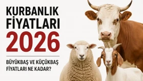 Kurbanlık Fiyatları 2026 Büyükbaş ve Küçükbaş kurban fiyatları belli oldu mu ?