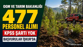 OGM ve Tarım Bakanlığı 477 Personel Alımı Yapacak: KPSS Şartı Yok