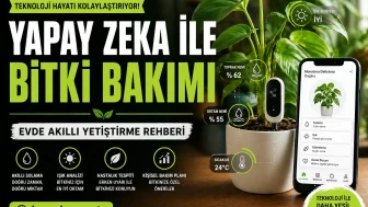 Yapay Zekâ ile Bitki Bakımı Nedir? Nasıl Yapılır Güvenilir mi?