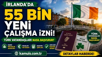 İrlanda’da 55 Bin Çalışma İzni Fırsatı! Nasıl Başvurabilir? Şartlar Neler?