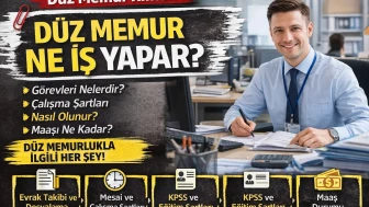 Düz Memur Ne İş Yapar? Görevleri, Şartları ve Çalışma Hayatı