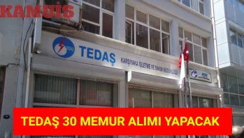 TEDAŞ, 30 Memur Alımı İçin İlan Verdi