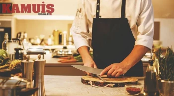 Türkiye'de Rekor Gelir: Bu Meslekten Aylık 170 Bin TL Gelir Elde Edenler Var!