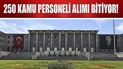 TBMM 250 Kamu Personeli Alımı Başvuruları Bitiyor!