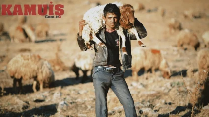 2026 Çobanlık Maaşı Yüksek Olması Dikkat Çekiyor
