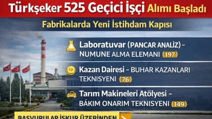 Türkşeker 525 Geçici İşçi Alımı Başladı Başvuru Şartları ve Detaylar