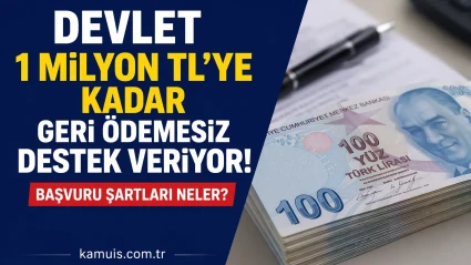 Devlet 1 Milyon TL’ye Kadar Geri Ödemesiz Destek Veriyor Başvuru Şartları Neler?