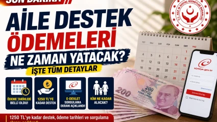 Sosyal Yardım Paraları 2026 Güncellendi Kim Ne Kadar Alıyor?Aile destek programı başvurusu Nasıl Yapılır