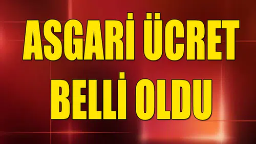 SON DAKİKA! Asgari Ücret Açıklandı! İşte Yeni Asgari Ücret
