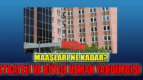 Cumhurbaşkanlığı Strateji ve Bütçe Uzman Yardımcılığı Maaşı Ne Kadar?