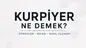 Kurpiyer Ne Demek? Kurpiyer Nasıl Olunur, Maaşı Ne Kadar?